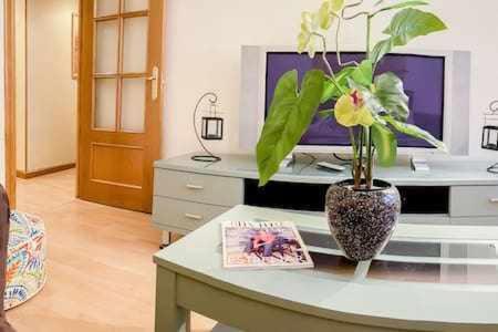 Apartamento Familiar Vut3099as *